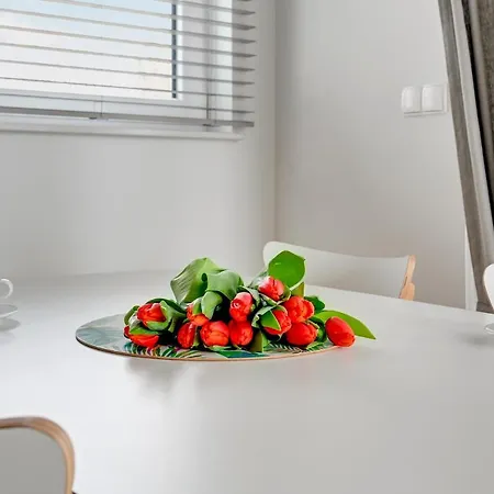 Flats For Rent - Jelitkowo Tre Mare Apartment *